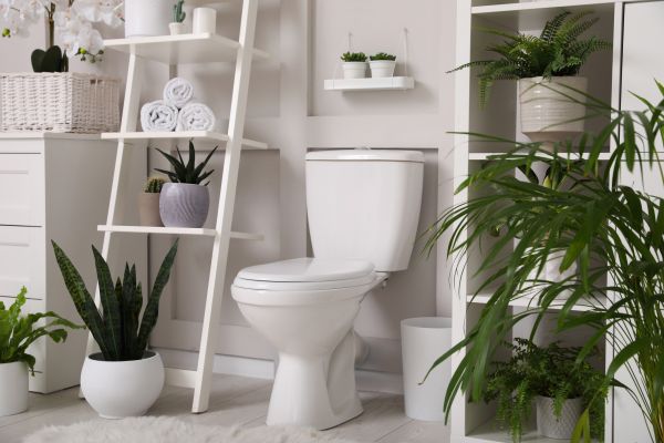 Cost of Toilet Repair in State College