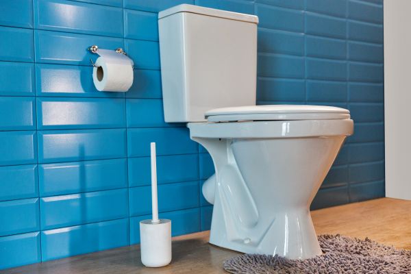 Cost of Toilet Tank Repair in State College