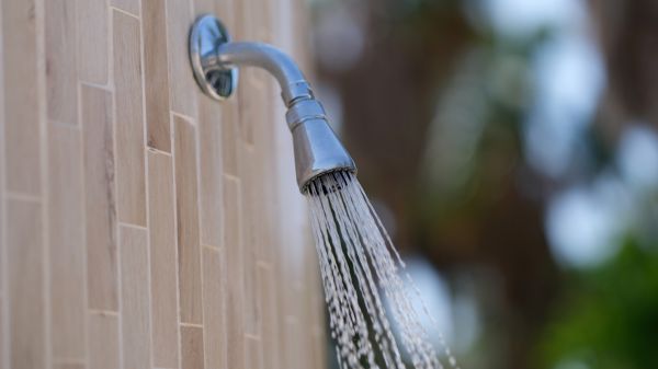 Cost of Showerhead Repair in State College