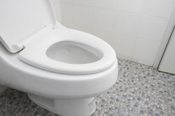 Cost of New Toilet Installation in State College